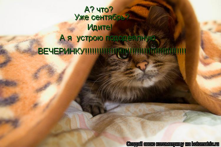 А? что? Уже сентябрь? Идите! А я устрою пододеялную ВЕЧЕРИНКУ!!!!!!!!!!!!!!!!!!!!!!!!!!!!!!!!!!!!!!!... Котоматрица: А? что? Уже сентябрь? Идите! А я устрою пододеялную ВЕЧЕРИНКУ!!!!!!!!!!!!!!!!!!!!!!!!!!!!!!!!!!!!!!!!!!!
