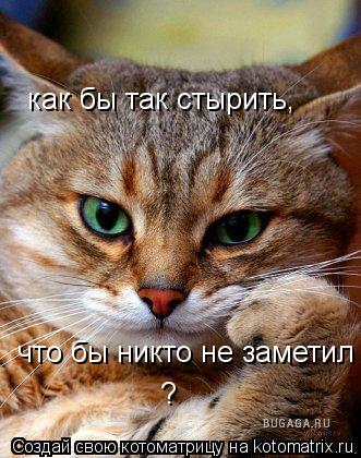 как бы так стырить, что бы никто не заметил ?... Котоматрица: как бы так стырить, что бы никто не заметил ?