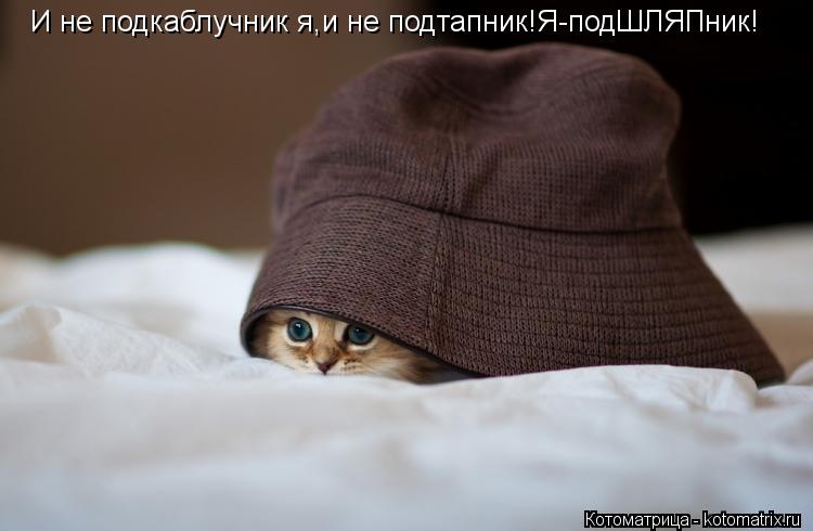 И не подкаблучник я,и не подтапник!Я-подШЛЯПник!... Котоматрица: И не подкаблучник я,и не подтапник!Я-подШЛЯПник!