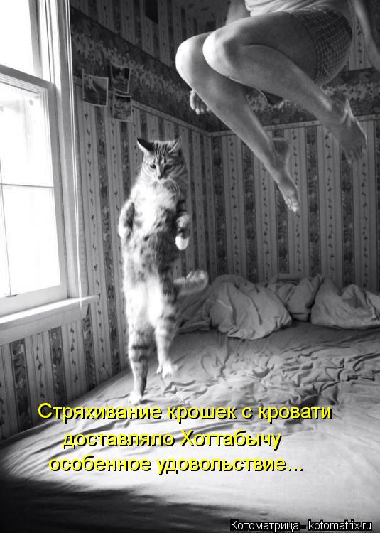 Стряхивание крошек с кровати доставляло Хоттабычу особенное удовольствие...... Котоматрица: Стряхивание крошек с кровати доставляло Хоттабычу особенное удовольствие...