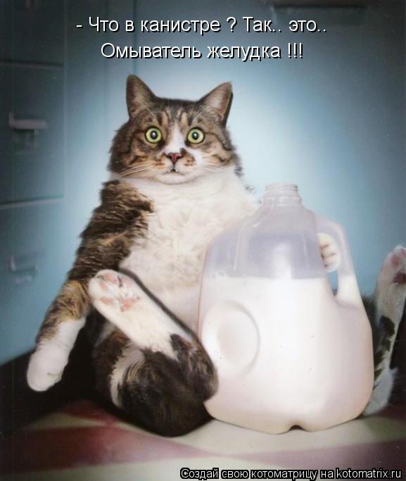 - Что в канистре ? Так.. это.. Омыватель желудка !!!... Котоматрица: - Что в канистре ? Так.. это.. Омыватель желудка !!!