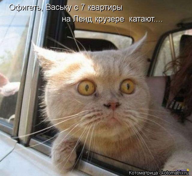 Офигеть, Ваську с 7 квартиры на Ленд крузере катают....... Котоматрица: Офигеть, Ваську с 7 квартиры на Ленд крузере катают....