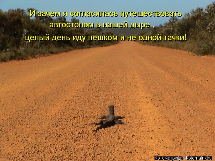 И зачем я согласилась путешествовать автостопом в нашей дыре , целый день иду пешком и не одной тачк... Котоматрица: И зачем я согласилась путешествовать автостопом в нашей дыре , целый день иду пешком и не одной тачки!