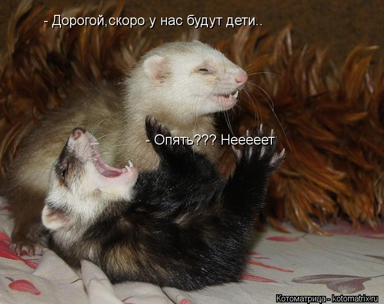 - Дорогой,скоро у нас будут дети.. - Опять??? Нееееет... Котоматрица: - Дорогой,скоро у нас будут дети.. - Опять??? Нееееет