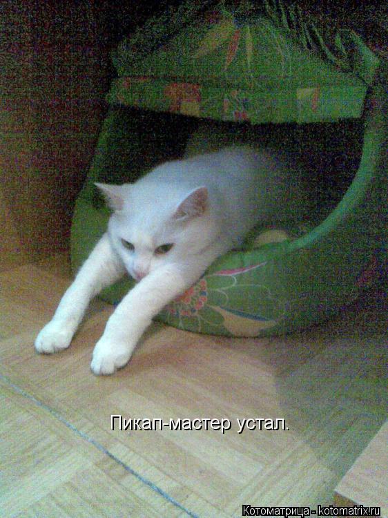 Пикап-мастер устал.... Котоматрица: Пикап-мастер устал.