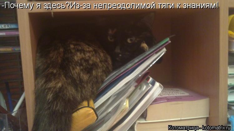 -Почему я здесь?Из-за непреодолимой тяги к знаниям!... Котоматрица: -Почему я здесь?Из-за непреодолимой тяги к знаниям!
