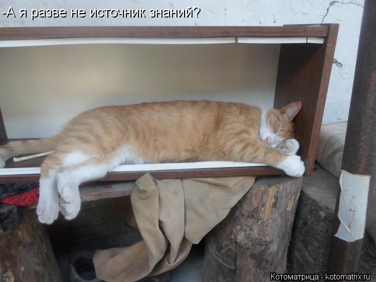 -А я разве не источник знаний?... Котоматрица: -А я разве не источник знаний?