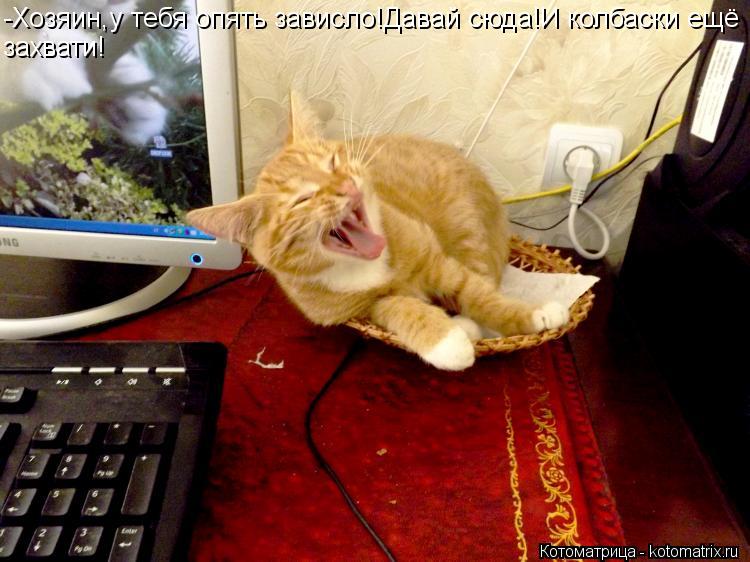 -Хозяин,у тебя опять зависло!Давай сюда!И колбаски ещё захвати!... Котоматрица: -Хозяин,у тебя опять зависло!Давай сюда!И колбаски ещё захвати!