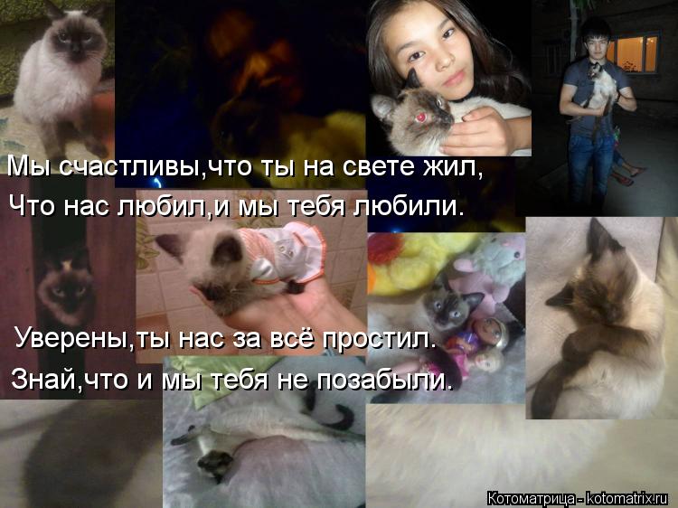 Мы счастливы,что ты на свете жил, Что нас любил,и мы тебя любили. Знай,что и мы тебя не позабыли. Уве... Котоматрица: Мы счастливы,что ты на свете жил, Что нас любил,и мы тебя любили. Знай,что и мы тебя не позабыли. Уверены,ты нас за всё простил.
