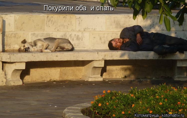 Покурили оба и спать... Котоматрица: Покурили оба и спать