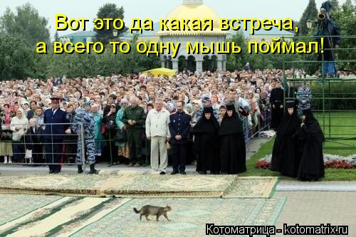 Вот это да какая встреча, а всего то одну мышь поймал!... Котоматрица: Вот это да какая встреча, а всего то одну мышь поймал!