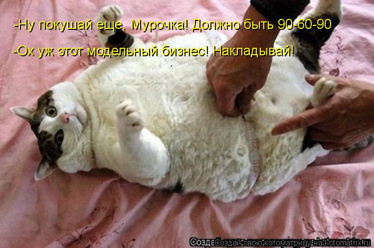 -Ну покушай еще, Мурочка! Должно быть 90-60-90 -Ох уж этот модельный бизнес! Накладывай!... Котоматрица: -Ну покушай еще, Мурочка! Должно быть 90-60-90 -Ох уж этот модельный бизнес! Накладывай!