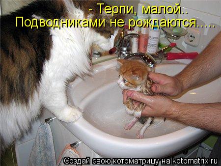 - Терпи, малой.. Подводниками не рождаются........ Котоматрица: - Терпи, малой.. Подводниками не рождаются.....