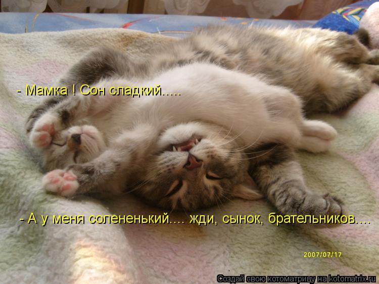 - Мамка ! Сон сладкий..... - А у меня солененький.... жди, сынок, брательников....... Котоматрица: - Мамка ! Сон сладкий..... - А у меня солененький.... жди, сынок, брательников....