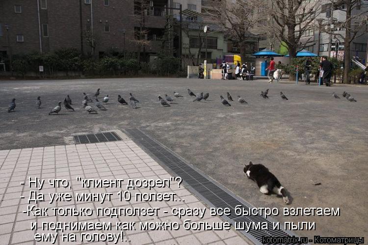 -Как только подползет - сразу все быстро взлетаем и поднимаем как можно больше шума и пыли ему на г... Котоматрица: -Как только подползет - сразу все быстро взлетаем и поднимаем как можно больше шума и пыли ему на голову!.. - Да уже минут 10 ползет... - Ну что, "