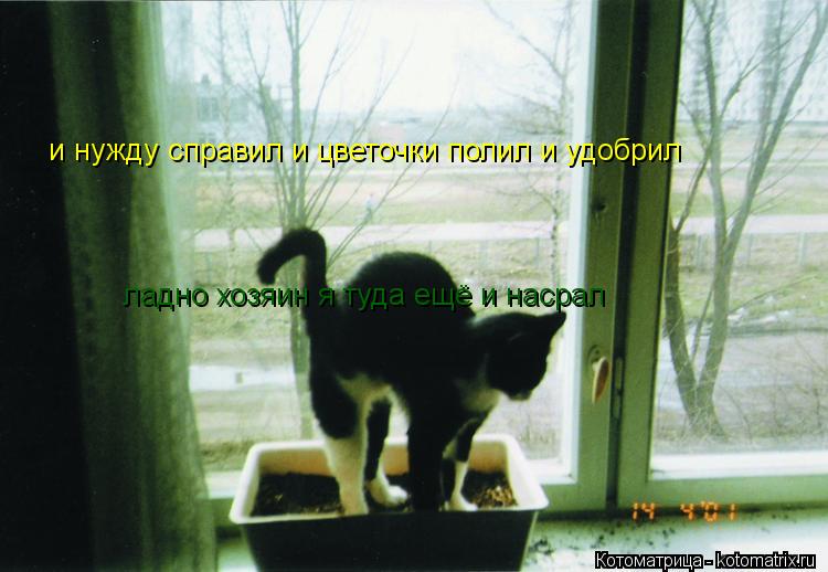 и нужду справил и цветочки полил и удобрил ладно хозяин я туда ещё и насрал... Котоматрица: и нужду справил и цветочки полил и удобрил ладно хозяин я туда ещё и насрал