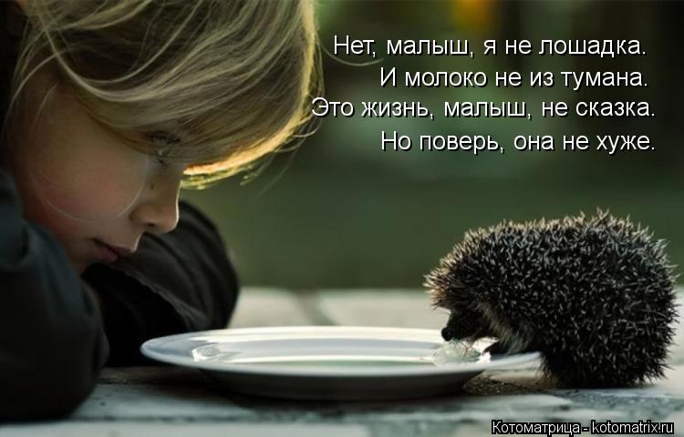 Нет, малыш, я не лошадка. И молоко не из тумана. Это жизнь, малыш, не сказка. Но поверь, она не хуже.... Котоматрица: Нет, малыш, я не лошадка. И молоко не из тумана. Это жизнь, малыш, не сказка. Но поверь, она не хуже.