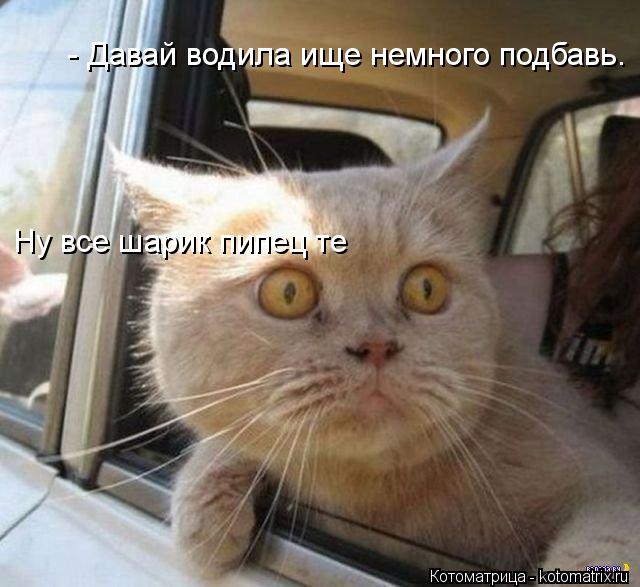 - Давай водила ище немного подбавь. Ну все шарик пипец те... Котоматрица: - Давай водила ище немного подбавь. Ну все шарик пипец те