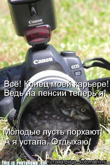 А я устала. Отдыхаю. Молодые пусть порхают! Ведь на пенсии теперь я! Всё! Конец моей карьере!... Котоматрица: А я устала. Отдыхаю. Молодые пусть порхают! Ведь на пенсии теперь я! Всё! Конец моей карьере!