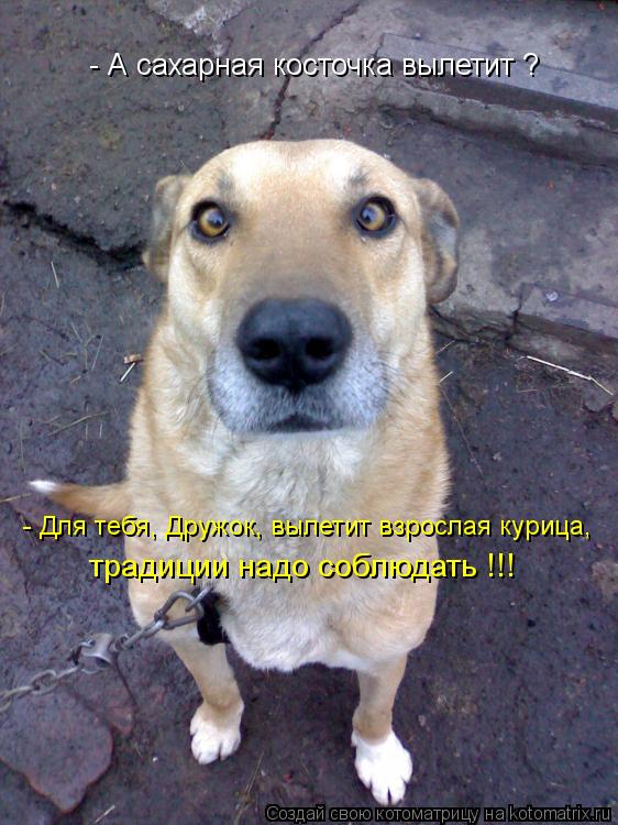 - А сахарная косточка вылетит ? - Для тебя, Дружок, вылетит взрослая курица, традиции надо соблюдать ... Котоматрица: - А сахарная косточка вылетит ? - Для тебя, Дружок, вылетит взрослая курица, традиции надо соблюдать !!!