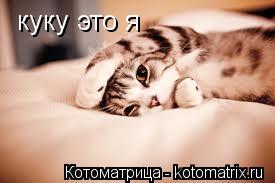куку это я... Котоматрица: куку это я