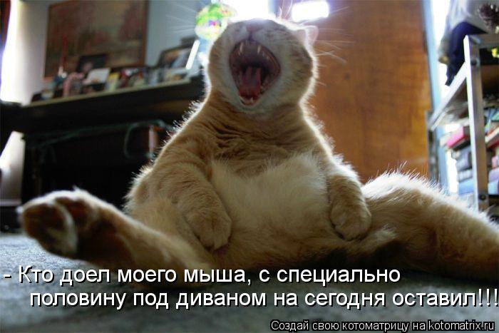 - Кто доел моего мыша, с специально половину под диваном на сегодня оставил!!!... Котоматрица: - Кто доел моего мыша, с специально половину под диваном на сегодня оставил!!!