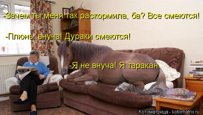 -Зачем ты меня так раскормила, ба? Все смеются! -Плюнь, внуча! Дураки смеются! -Я не внуча! Я таракан... Котоматрица: -Зачем ты меня так раскормила, ба? Все смеются! -Плюнь, внуча! Дураки смеются! -Я не внуча! Я таракан.