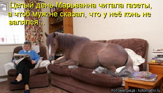 Целый день Марьванна читала газеты, а чтоб муж не сказал, что у неё конь не валялся...... Котоматрица: Целый день Марьванна читала газеты, а чтоб муж не сказал, что у неё конь не валялся...