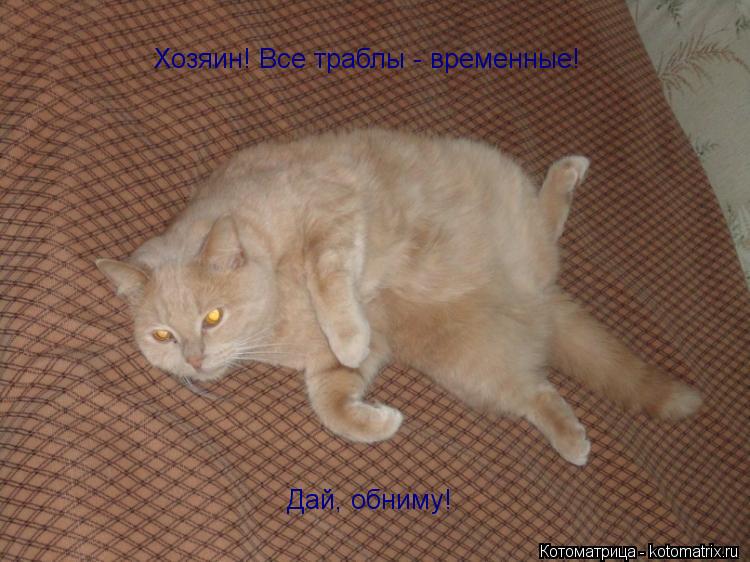 Хозяин! Все траблы - временные! Дай, обниму!... Котоматрица: Хозяин! Все траблы - временные! Дай, обниму!