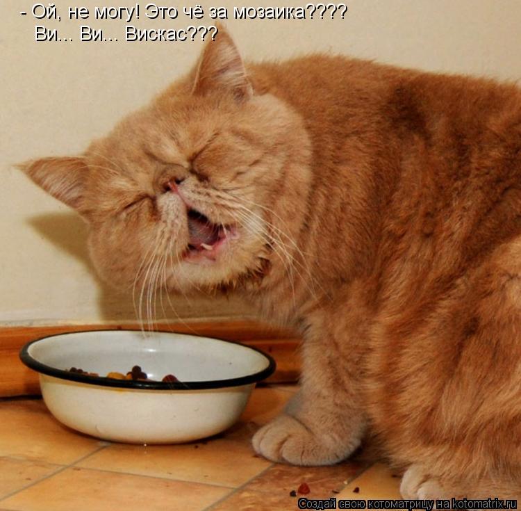 - Ой, не могу! Это чё за мозаика???? Ви... Ви... Вискас???... Котоматрица: - Ой, не могу! Это чё за мозаика???? Ви... Ви... Вискас???