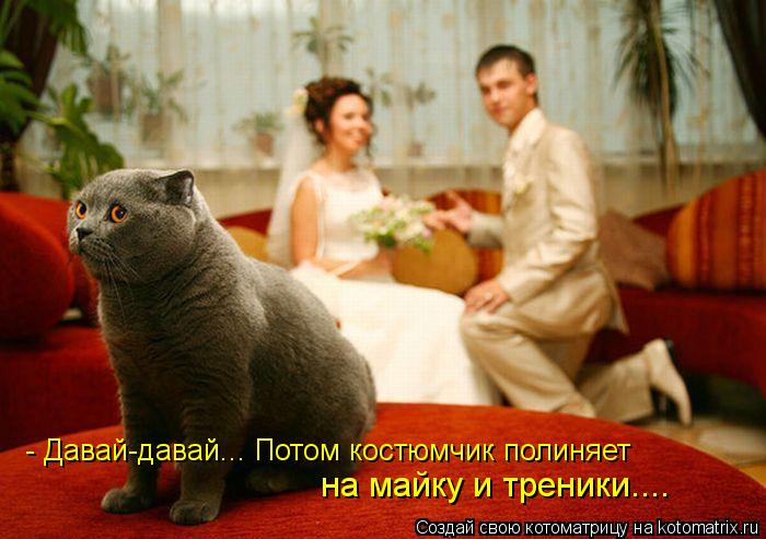 - Давай-давай... Потом костюмчик полиняет на майку и треники....... Котоматрица: - Давай-давай... Потом костюмчик полиняет на майку и треники....