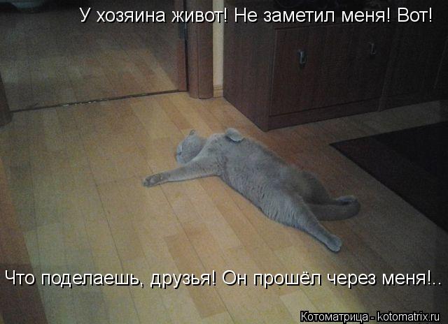 У хозяина живот! Не заметил меня! Вот! Что поделаешь, друзья! Он прошёл через меня!..... Котоматрица: У хозяина живот! Не заметил меня! Вот! Что поделаешь, друзья! Он прошёл через меня!..
