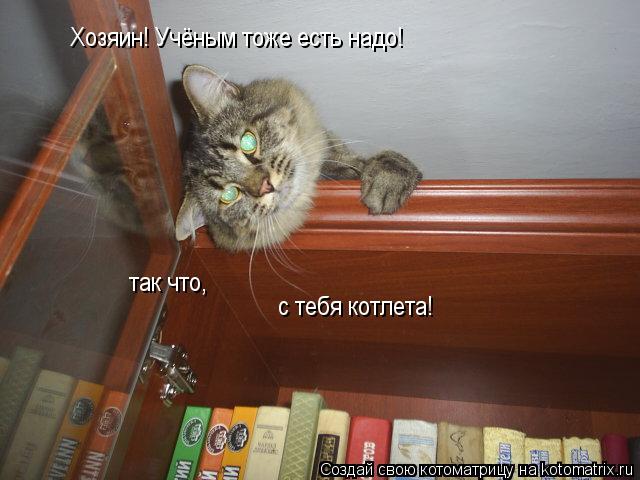 Хозяин! Учёным тоже есть надо! так что, с тебя котлета!... Котоматрица: Хозяин! Учёным тоже есть надо! так что, с тебя котлета!