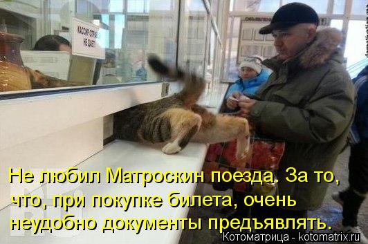 Не любил Матроскин поезда. За то, что, при покупке билета, очень неудобно документы предъявлять.... Котоматрица: Не любил Матроскин поезда. За то, что, при покупке билета, очень неудобно документы предъявлять.
