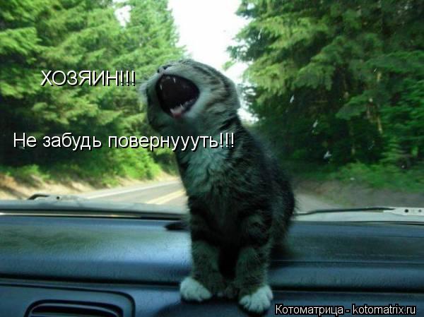 ХОЗЯИН!!! Не забудь повернуууть!!!... Котоматрица: ХОЗЯИН!!! Не забудь повернуууть!!!