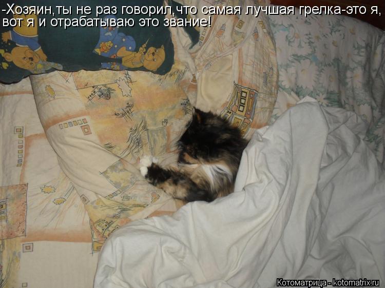 -Хозяин,ты не раз говорил,что самая лучшая грелка-это я, вот я и отрабатываю это звание!... Котоматрица: -Хозяин,ты не раз говорил,что самая лучшая грелка-это я, вот я и отрабатываю это звание!