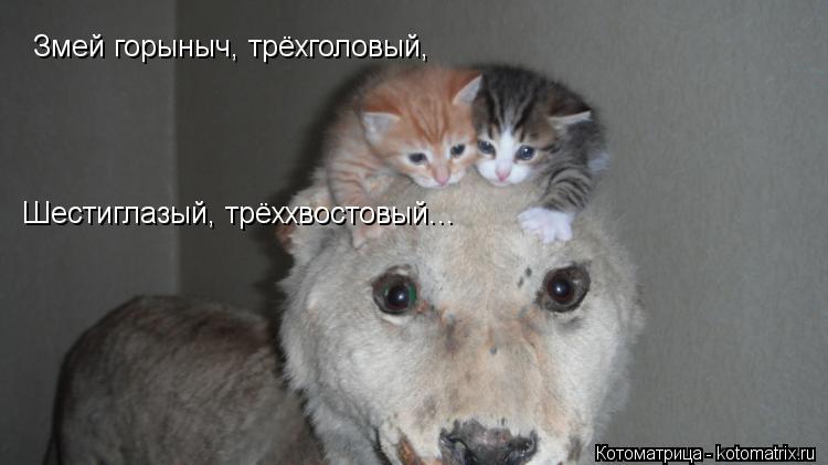 Змей горыныч, трёхголовый, Шестиглазый, трёххвостовый...... Котоматрица: Змей горыныч, трёхголовый, Шестиглазый, трёххвостовый...