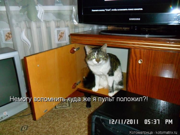 Немогу вспомнить куда же я пульт положил?!... Котоматрица: Немогу вспомнить куда же я пульт положил?!
