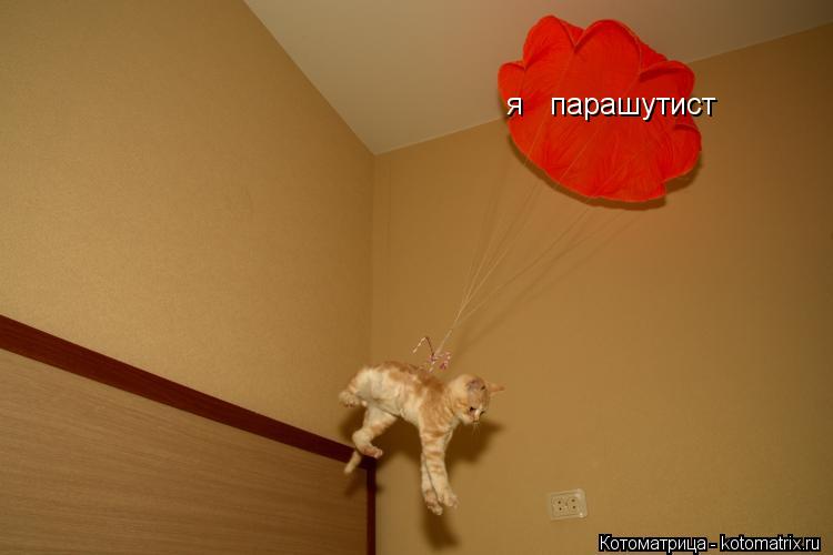 я парашутист... Котоматрица: я парашутист