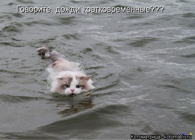 Говорите, дожди кратковременные???... Котоматрица: Говорите, дожди кратковременные???