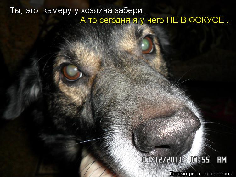 Ты, это, камеру у хозяина забери... А то сегодня я у него НЕ В ФОКУСЕ...... Котоматрица: Ты, это, камеру у хозяина забери... А то сегодня я у него НЕ В ФОКУСЕ...
