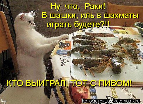 Ну что, Раки! В шашки, иль в шахматы КТО ВЫИГРАЛ, ТОТ С ПИВОМ! играть будете?!!... Котоматрица: Ну что, Раки! В шашки, иль в шахматы КТО ВЫИГРАЛ, ТОТ С ПИВОМ! играть будете?!!