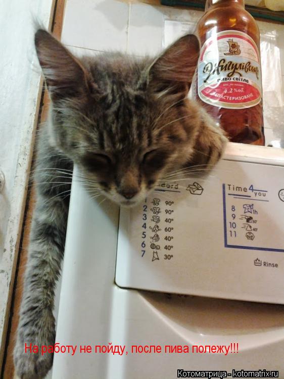 На работу не пойду, после пива полежу!!!... Котоматрица: На работу не пойду, после пива полежу!!!