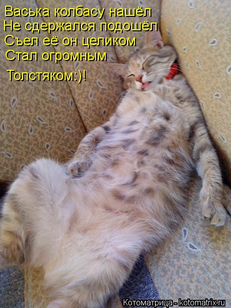 Васька колбасу нашёл Не сдержался подошёл Съел её он целиком Стал огромным Толстяком:)!... Котоматрица: Васька колбасу нашёл Не сдержался подошёл Съел её он целиком Стал огромным Толстяком:)!