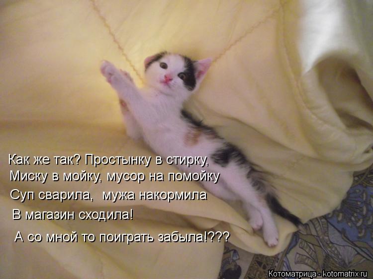 Миску в мойку, мусор на помойку Как же так? Простынку в стирку, Суп сварила, мужа накормила В магази... Котоматрица: Миску в мойку, мусор на помойку Как же так? Простынку в стирку, Суп сварила, мужа накормила В магазин сходила! А со мной то поиграть забыла!???