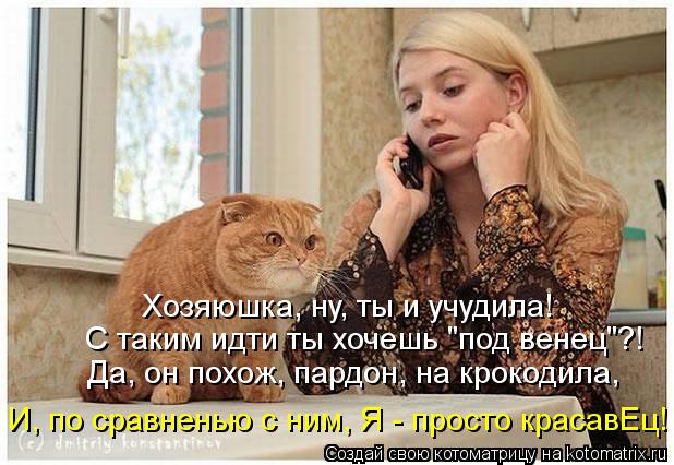 Хозяюшка, ну, ты и учудила! С таким идти ты хочешь "под венец"?! Да, он похож, пардон, на крокодила, ... Котоматрица: Хозяюшка, ну, ты и учудила! С таким идти ты хочешь "под венец"?! Да, он похож, пардон, на крокодила, И, по сравненью с ним, Я - просто красавЕц!