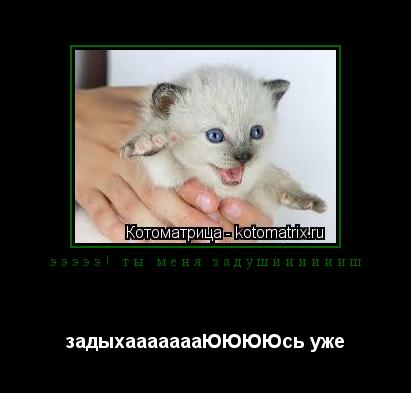 эээээ! ты меня задушииииииш задыхаааааааЮЮЮЮсь уже... Котоматрица: эээээ! ты меня задушииииииш задыхаааааааЮЮЮЮсь уже