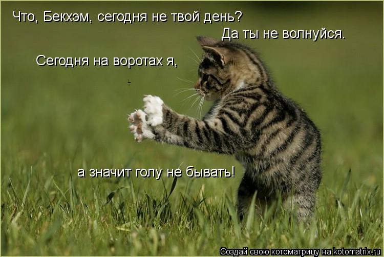 Что, Бекхэм, сегодня не твой день? Да ты не волнуйся. Сегодня на воротах я, а значит голу не бывать!... Котоматрица: Что, Бекхэм, сегодня не твой день? Да ты не волнуйся. Сегодня на воротах я, а значит голу не бывать!