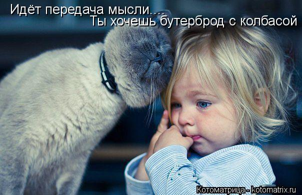 Идёт передача мысли.... Ты хочешь бутерброд с колбасой... Котоматрица: Идёт передача мысли.... Ты хочешь бутерброд с колбасой