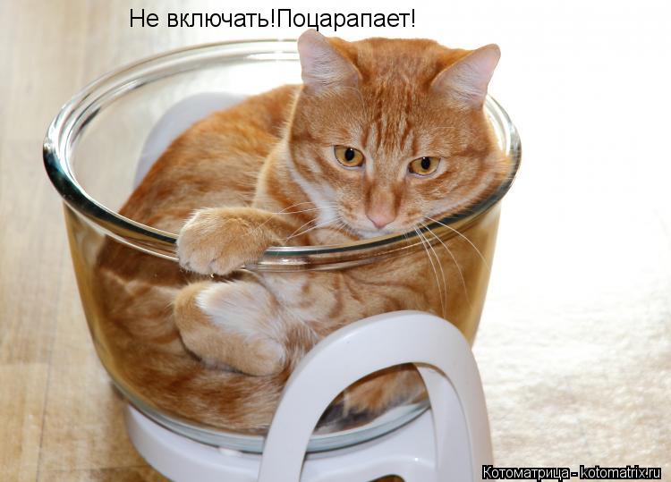 Котоматрица: Не включать!Поцарапает!